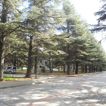 Sar Eskişehir