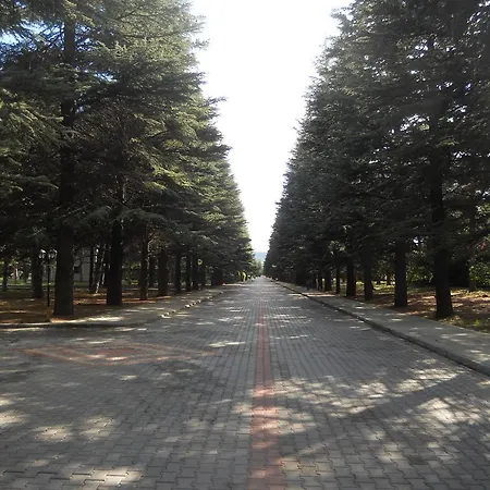 Hotel Sar 2*